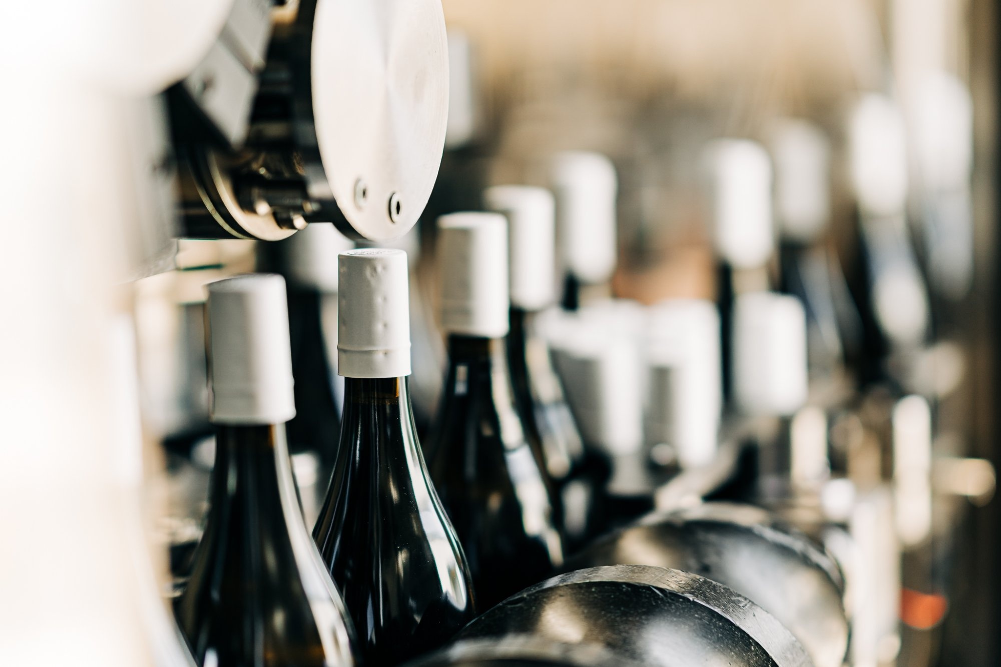 Dark wine bottles with screwcap closures moving through the bottling line