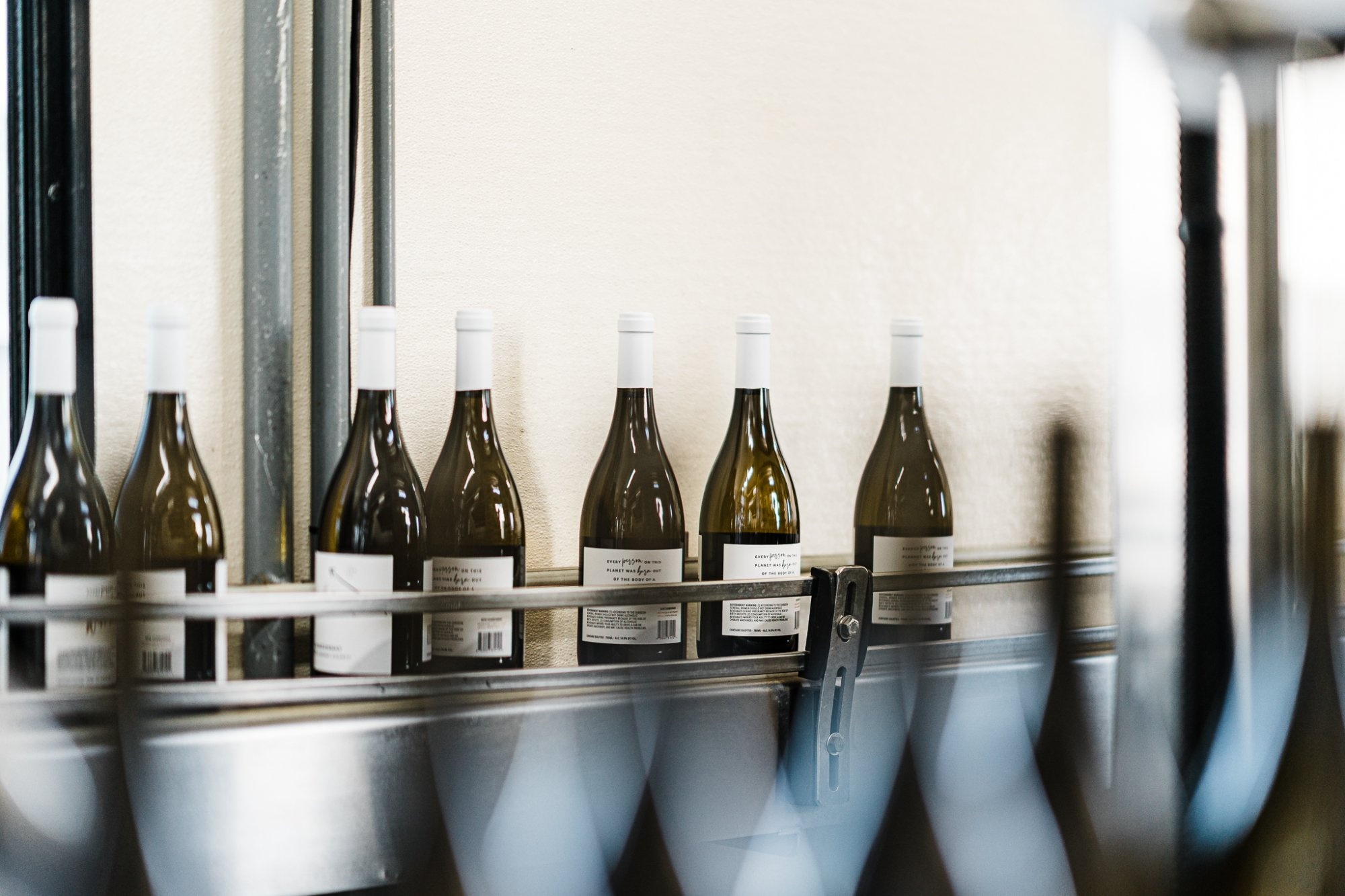Labeled white wine bottles on the packaging line